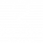 record system pion_white